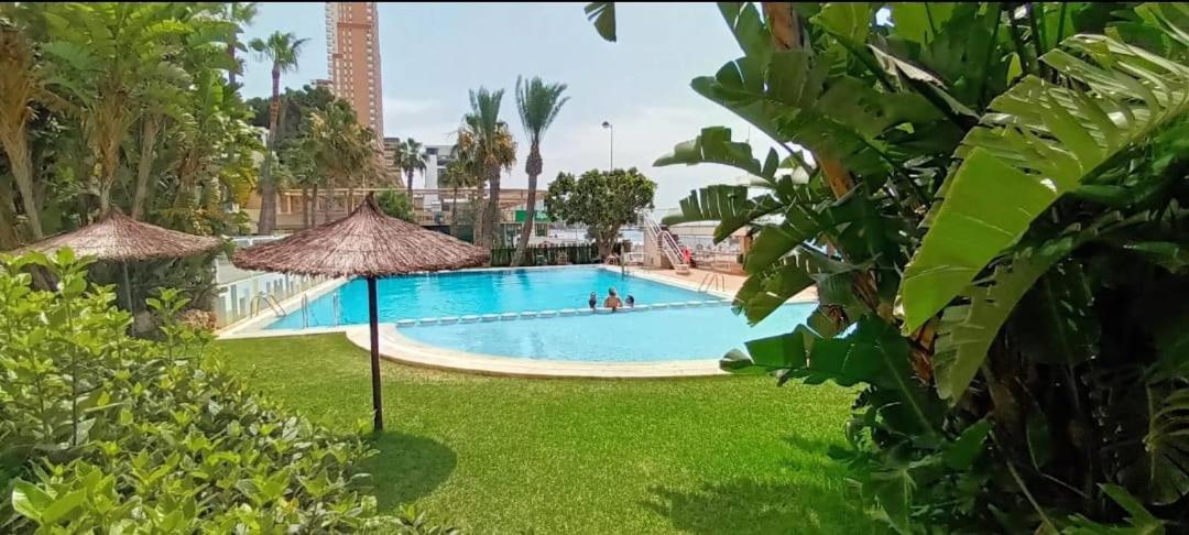 Apartamento Acapulco Luxe Piso 3 En 1A Linea Playa Poniente Benidorm Top Vistas Al Mar Espectaculares Y De Luxe Con Acceso A Piscina Y Garaje Privado Luaran gambar